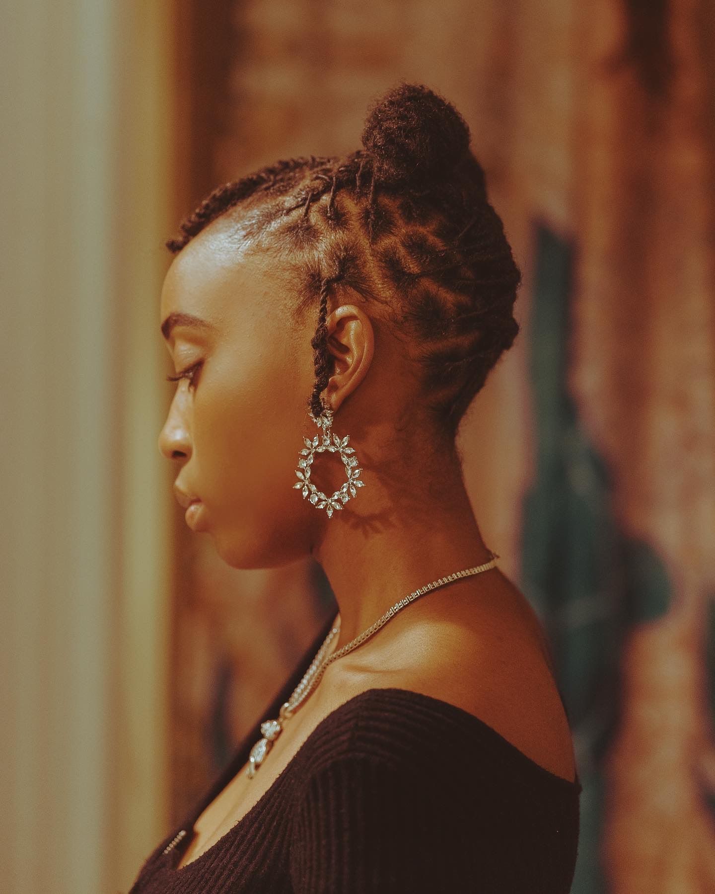 A warm-toned portrait highlighting detailed braids and decorative jewelry against a rustic background.