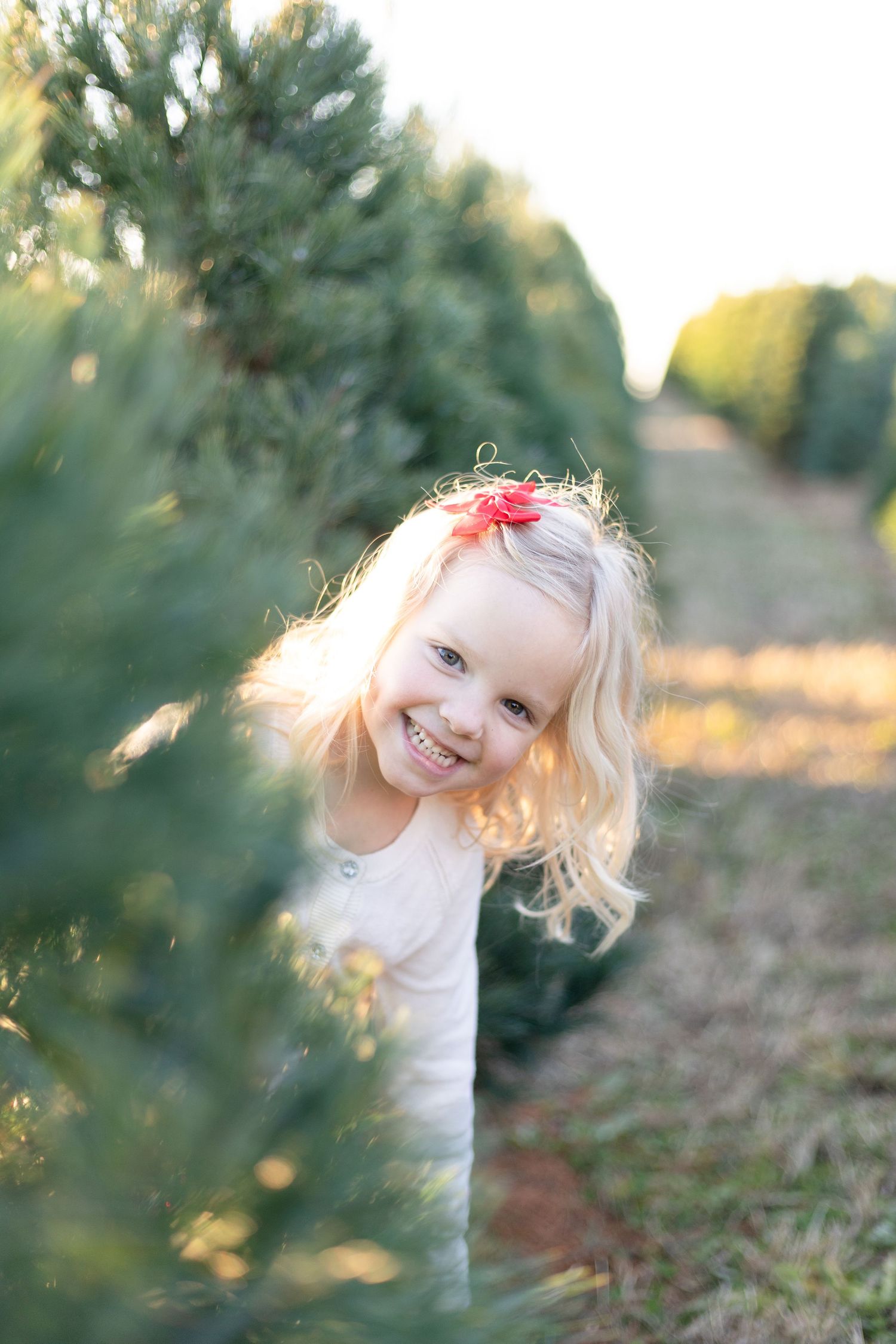christmas tree farm session belleville illinois
