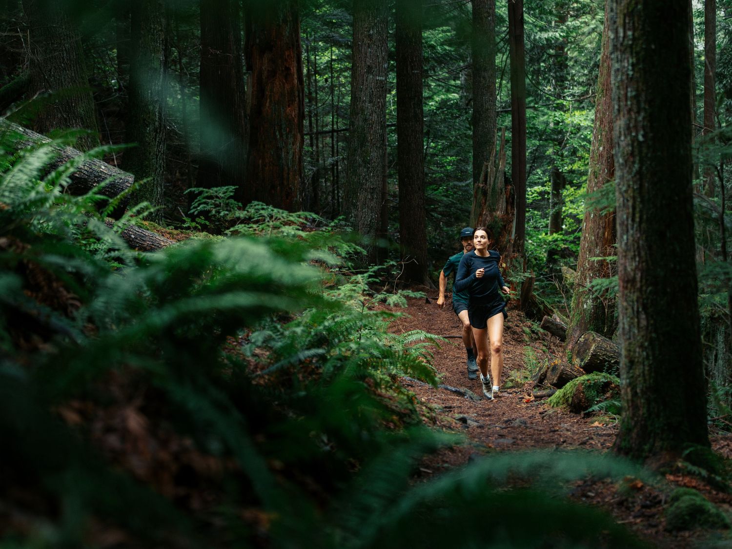 A hiker navigates through a dense, green forest trail surrounded by tall evergreen trees.