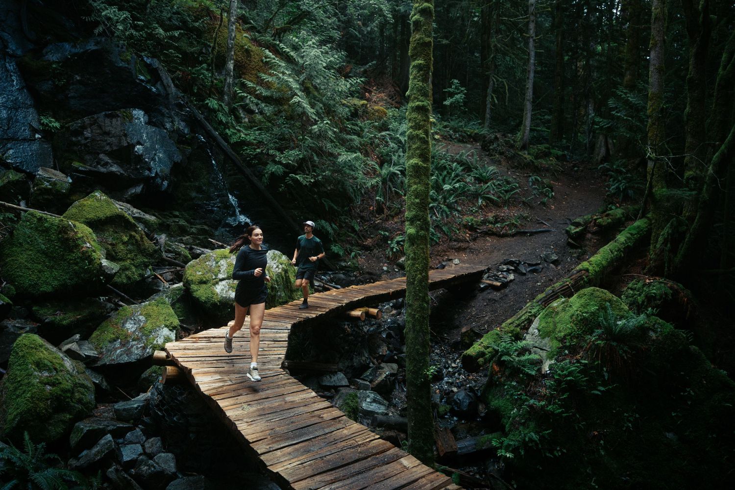 Hikers traverse a wooden boardwalk path through a lush mossy forest landscape.