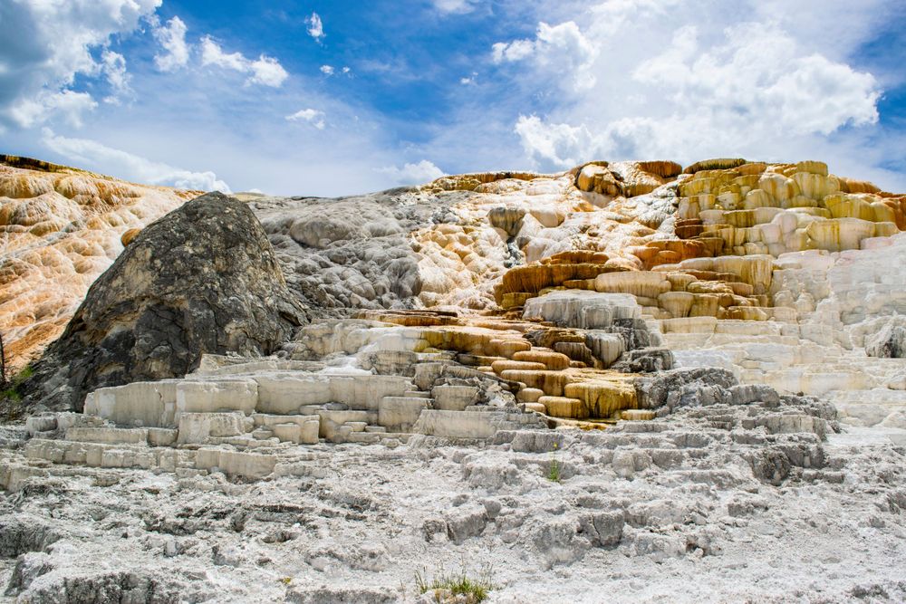 Terraced white mineral deposits at Mammoth Hot Springs in Yellowstone National Park under blue sky.