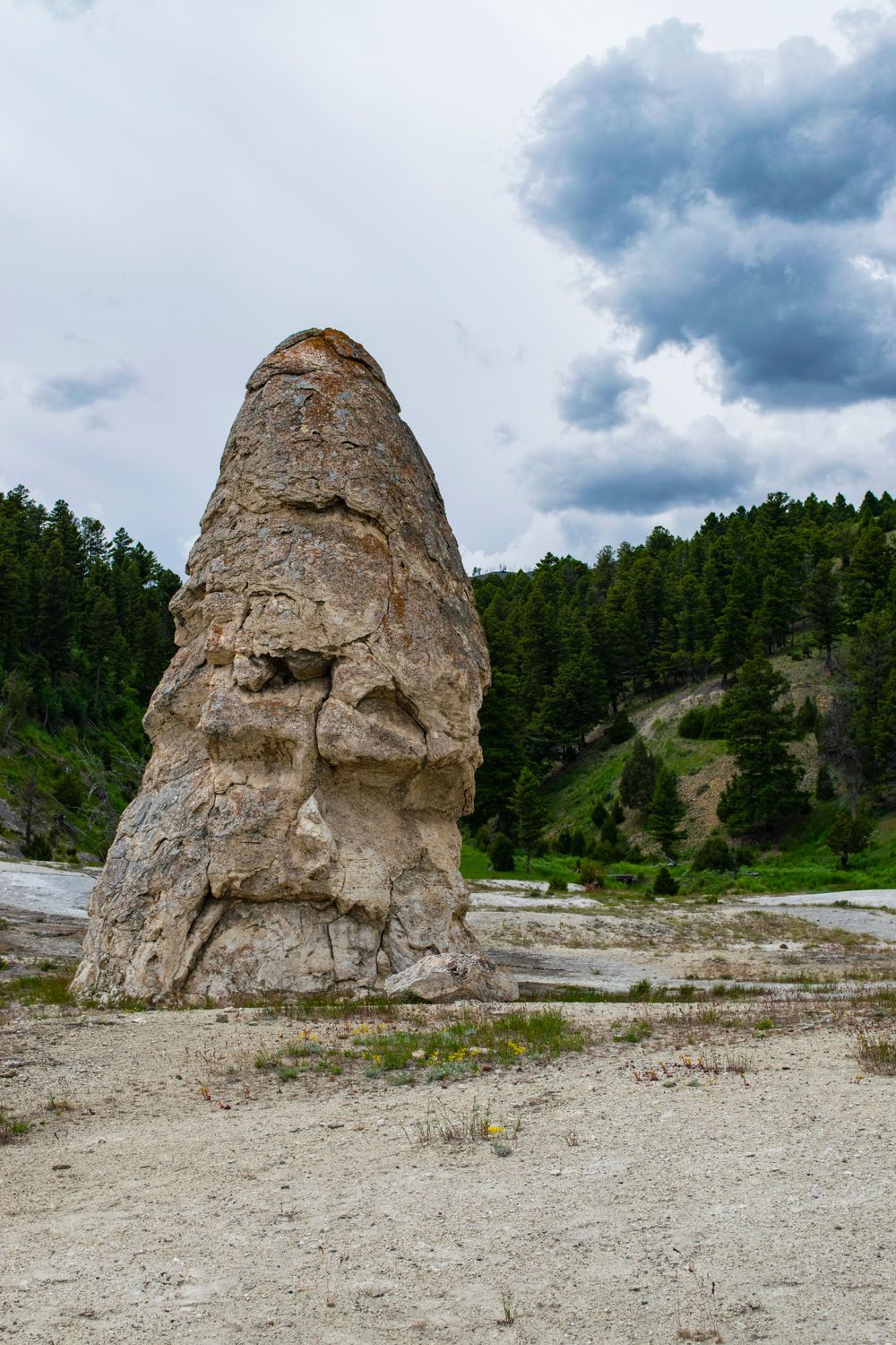A tall limestone formation stands like a sentinel against stormy skies in Yellowstone.