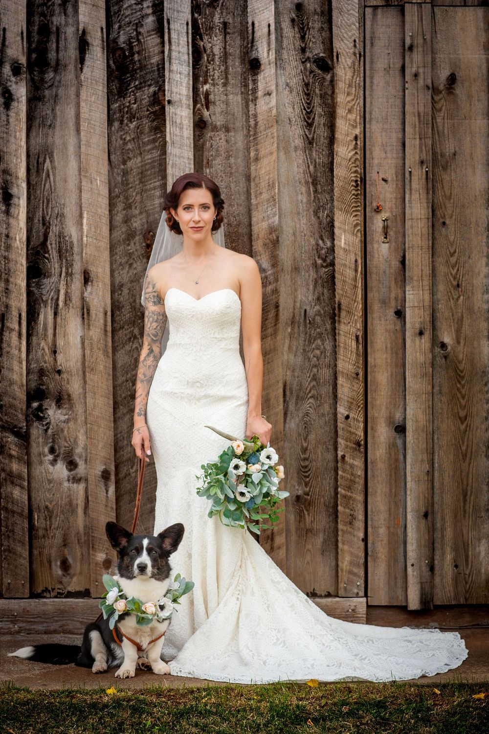 A bride in a white lace wedding dress poses with a small black and white dog against a rustic wooden fence backdrop.