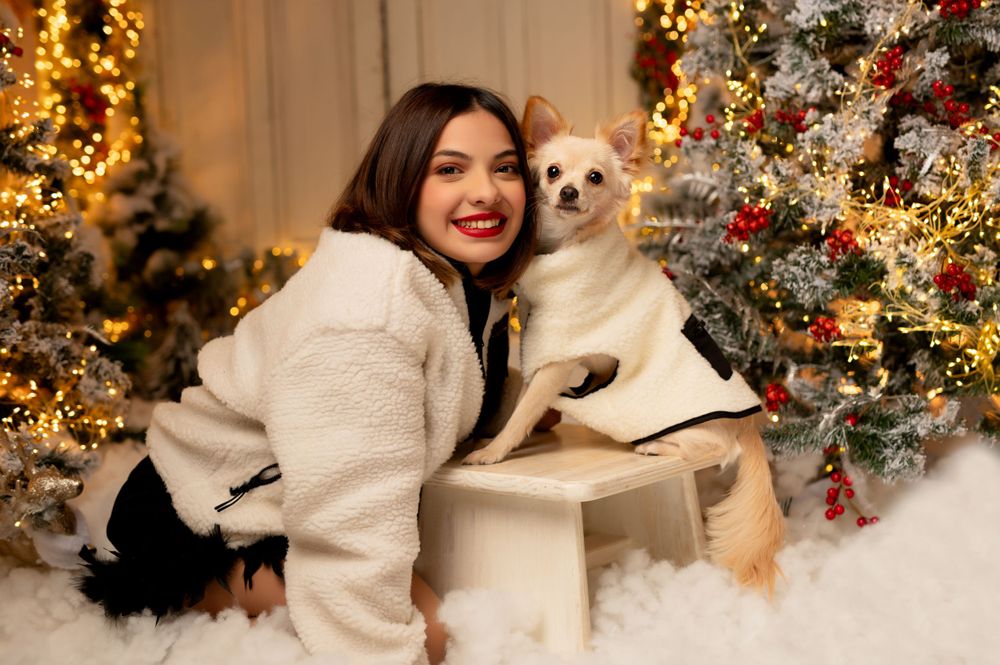Cozy winter scene with a small dog and Christmas decorations featuring warm lighting and festive garlands.