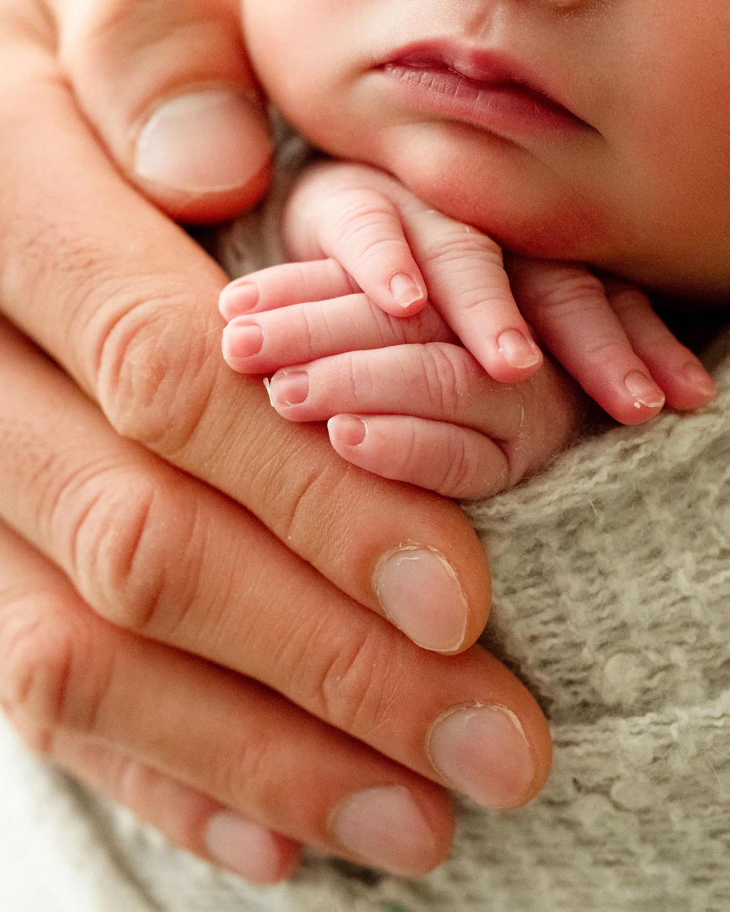 Close-up montage of small baby hands gently touching larger hands in a tender moment on soft fabric.