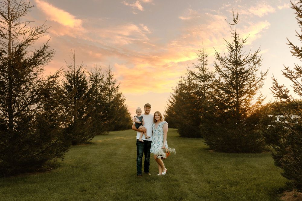 Couple holding hands and walking on a grassy path between evergreen trees at sunset.