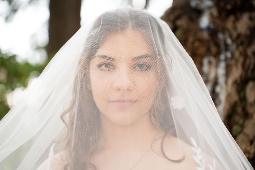 A bridal portrait shows a graceful figure wearing a delicate white veil in natural outdoor lighting.