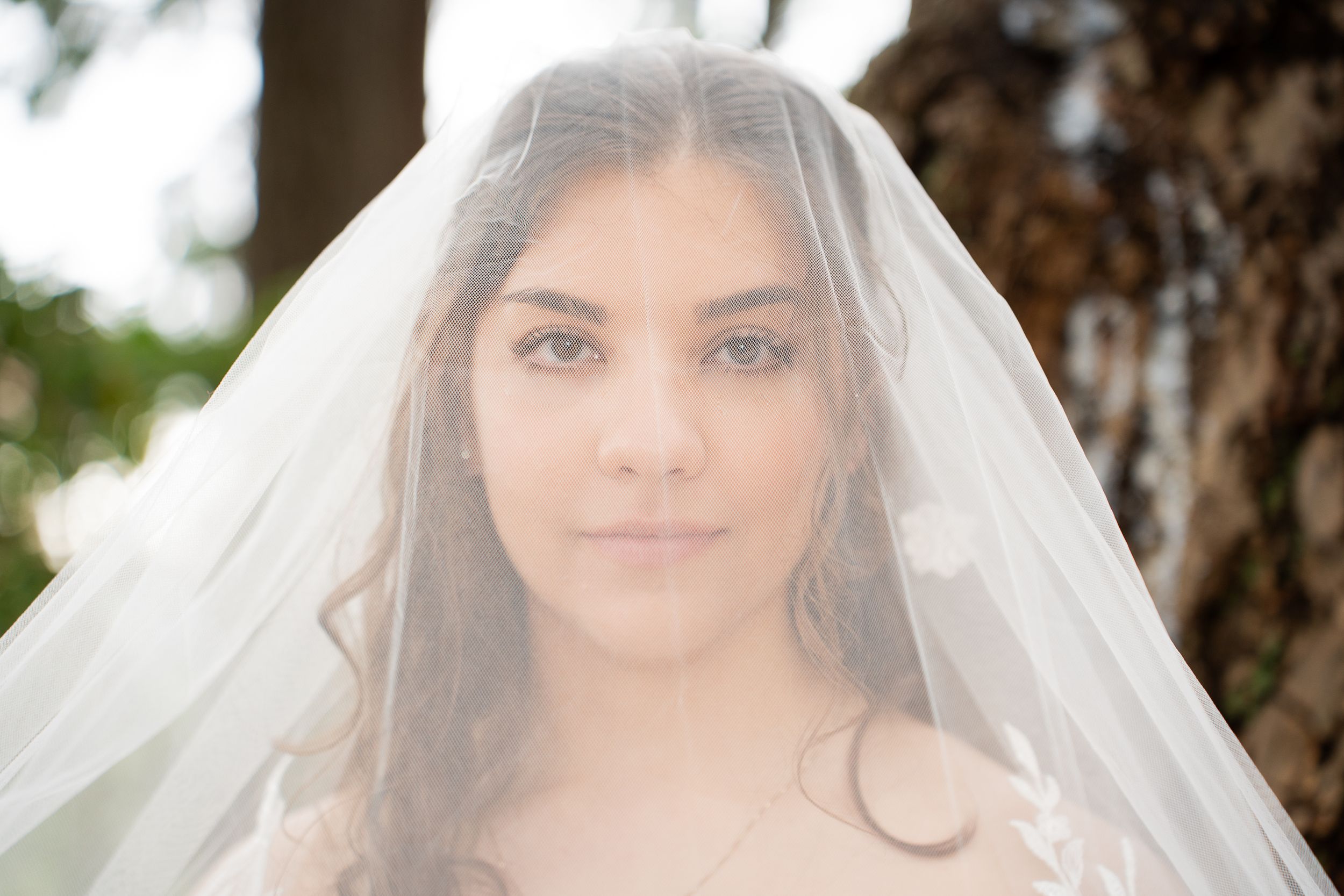 A bridal portrait shows a graceful figure wearing a delicate white veil in natural outdoor lighting.