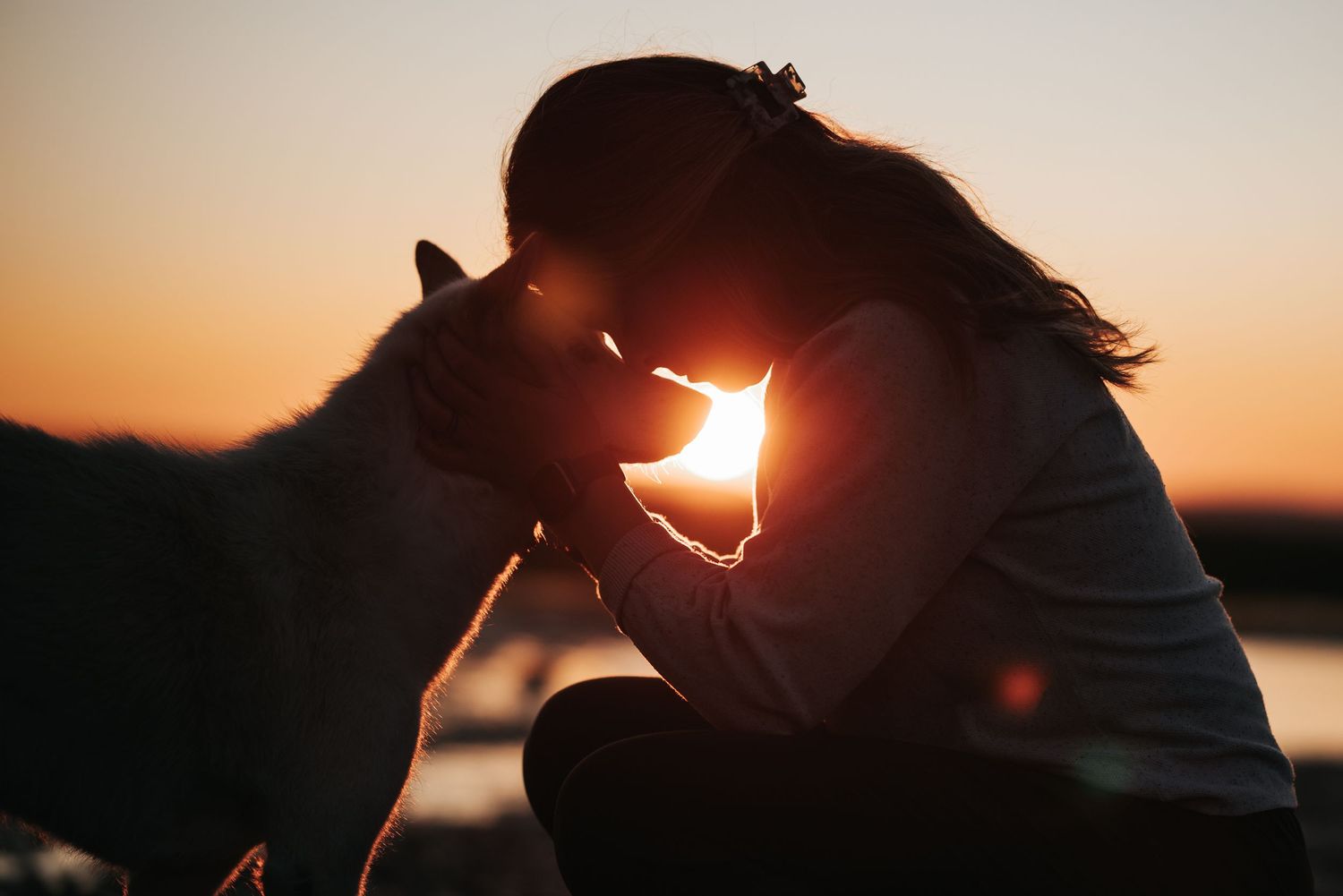 A person embracing a horse in front of a sunset sky.