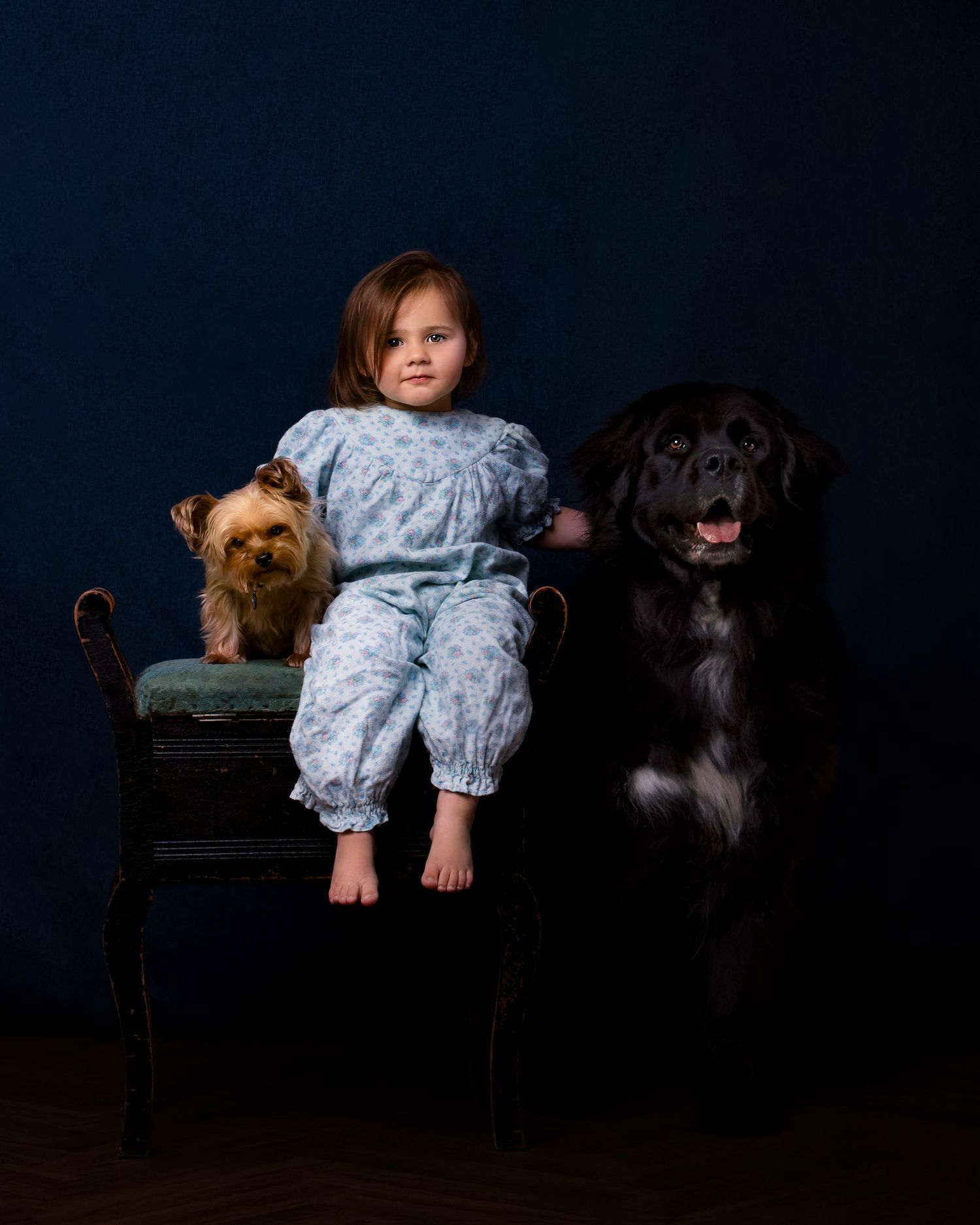 A small child in blue pajamas sits between a Yorkshire terrier and large Newfoundland dog on an antique chair against dark backdrop..