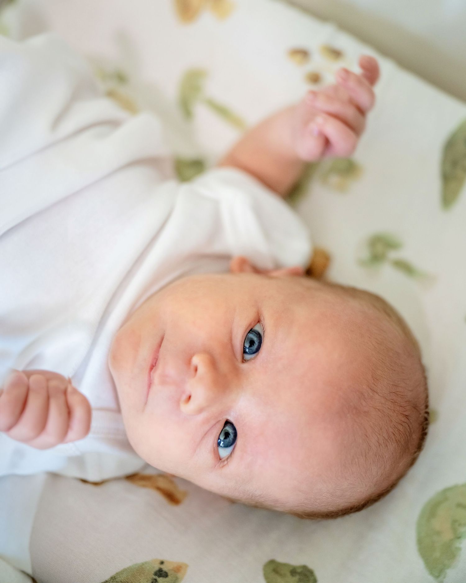 newborn lifestyle photos charlotte area newborn photographer