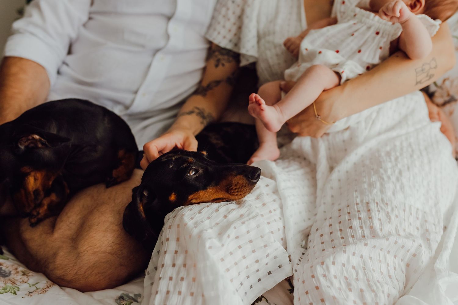 Newborn baby lying in their parents’ arms at home, with two family dogs nearby, capturing a gentle family moment.
