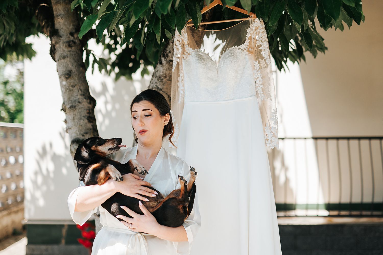 Bride in white robe holding a dachshund dog with wedding dress hanging on tree behind.