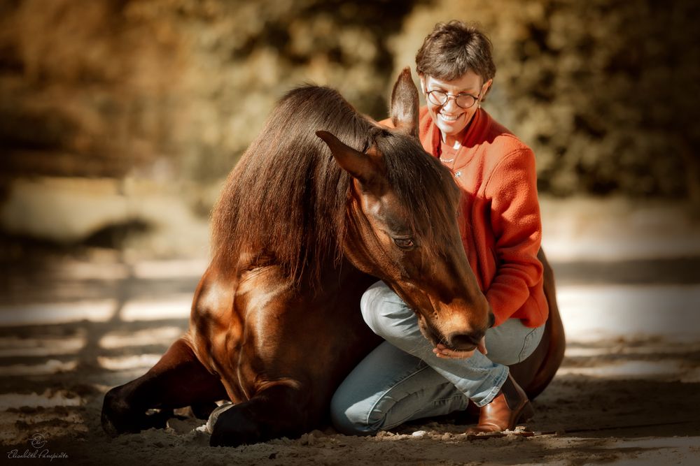 Photographe équin en Belgique. Photographie de chevaux en Belgique. Best equine photographer belgium. Cheval espagnol