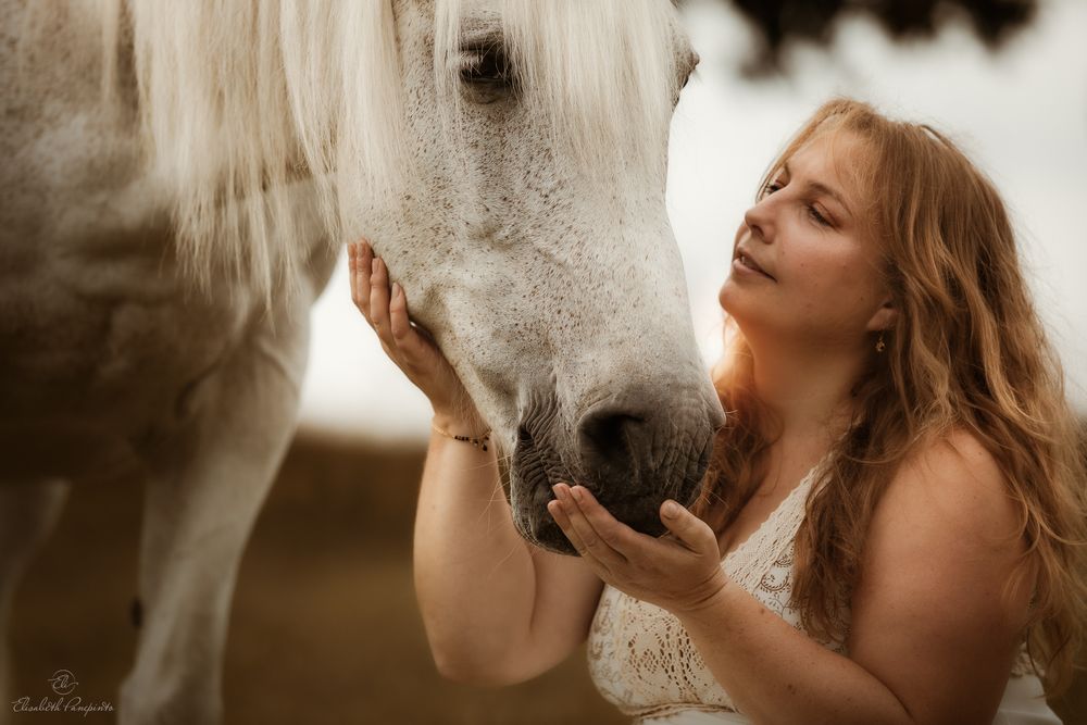 Photographe de chevaux espagnols et de chiens en Belgique. Photographie équine et canine en Belgique. Photographe d'animaux en Belgique