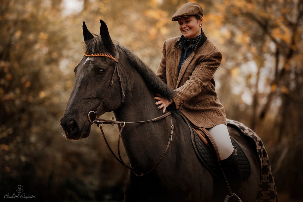 Photographe de chevaux de sport CSO Belgique. Photographie équine et canine en Belgique. Photographe d'animaux en Belgique