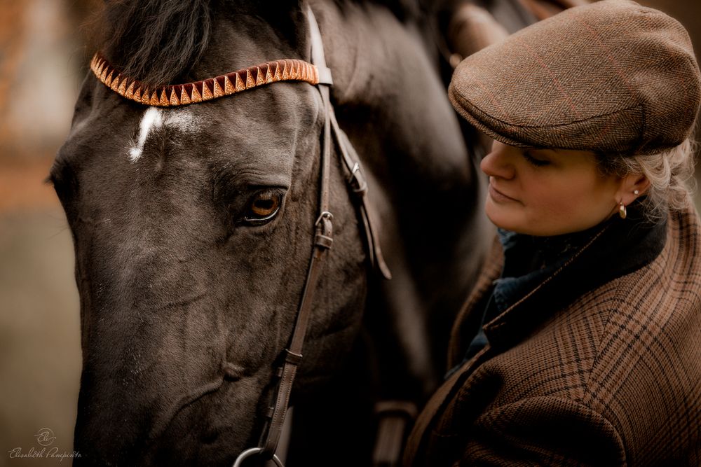Photographe de chevaux de sport CSO Belgique. Photographie équine et canine en Belgique. Photographe d'animaux en Belgique