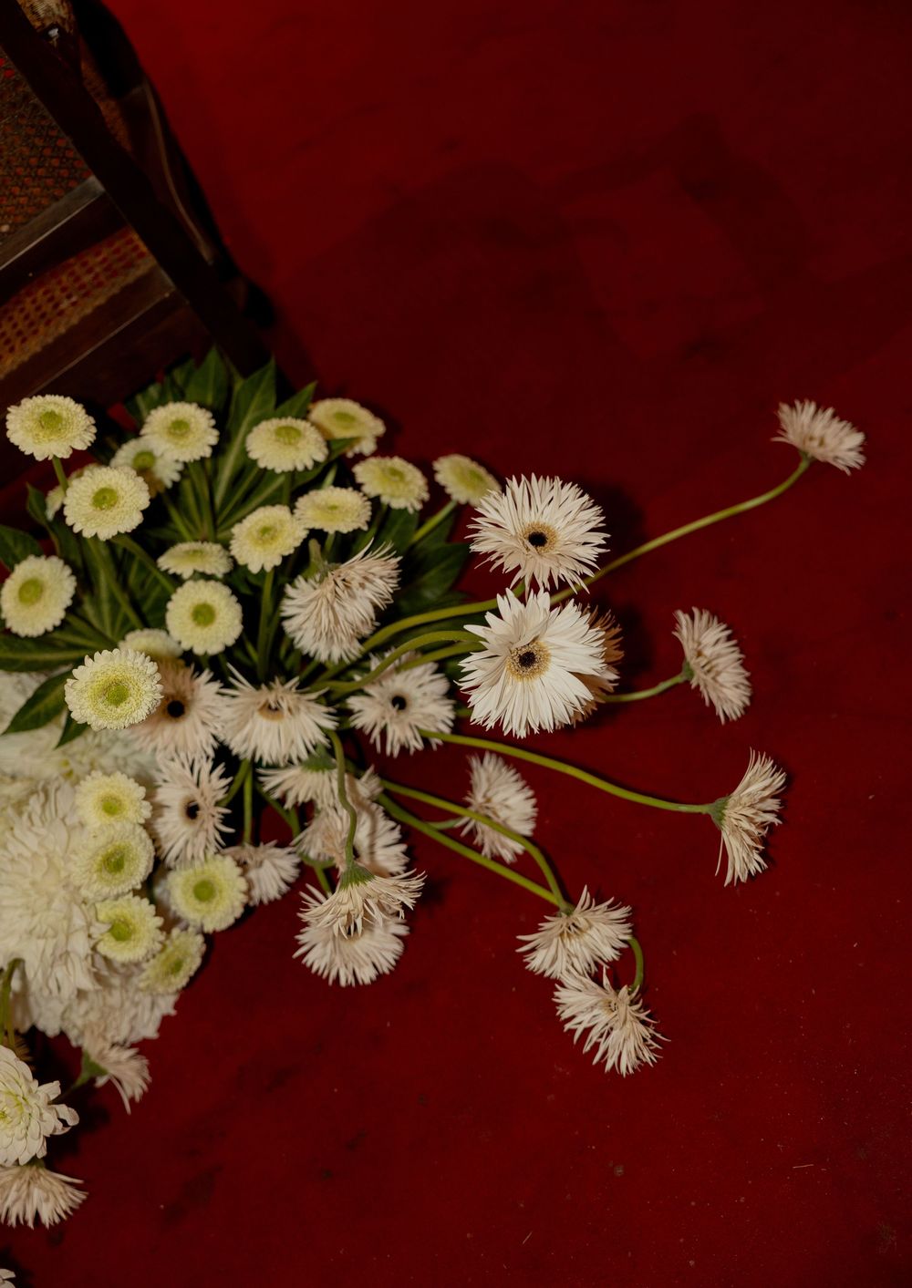 A bouquet of white and pale yellow daisies arranged against a deep red background.