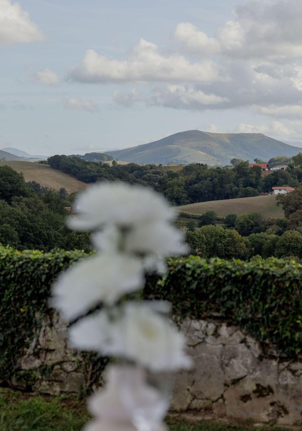Blurred white roses in foreground with lush green hills, trees, and a mountain landscape under a cloudy sky.