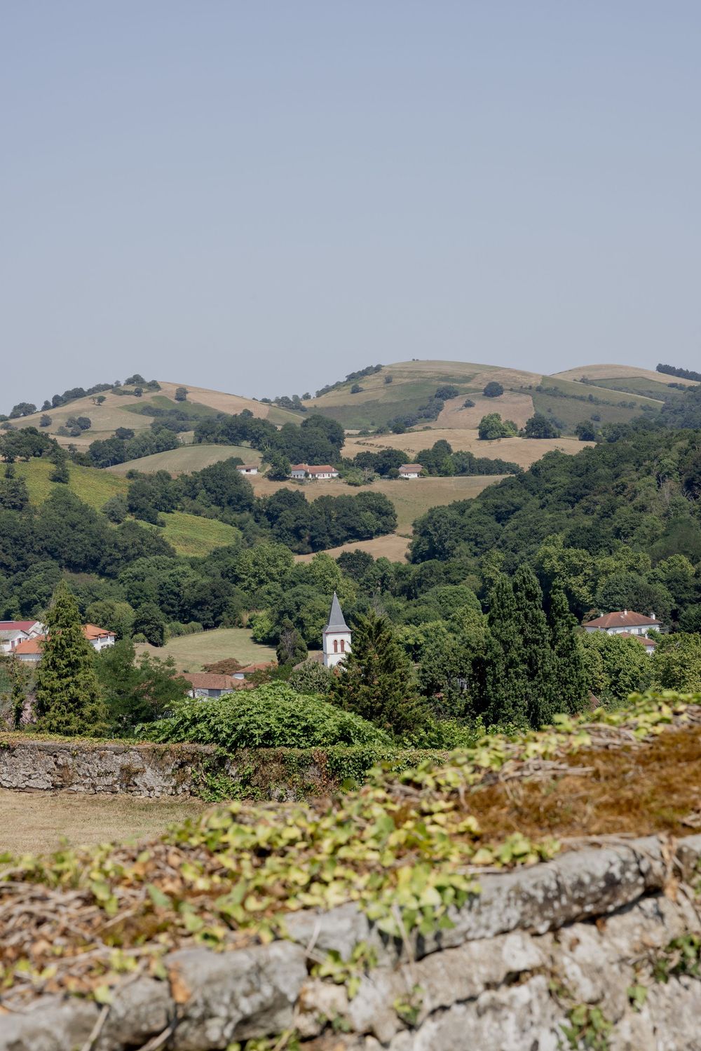Scenic rural landscape with rolling green hills, trees, and a white church steeple under a clear blue sky.