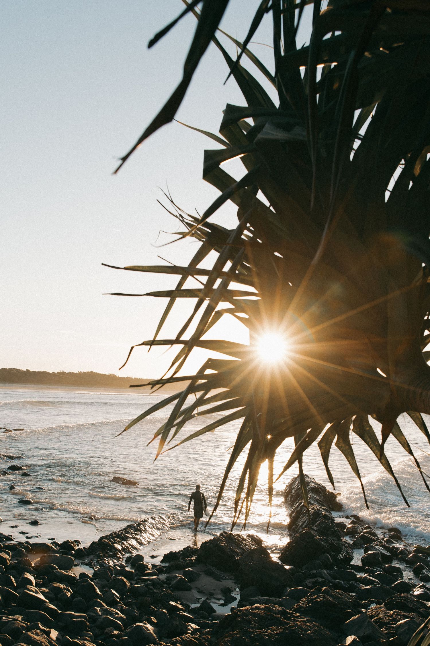 Sun bursts through palm fronds above a rocky beach at sunset.
