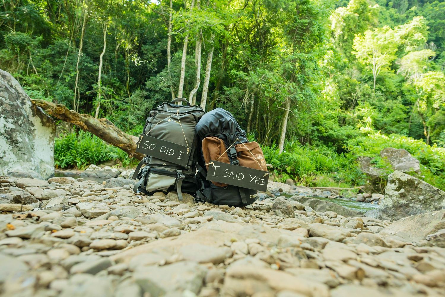 Backpack and hiking gear resting on rocky ground in a forest setting.
