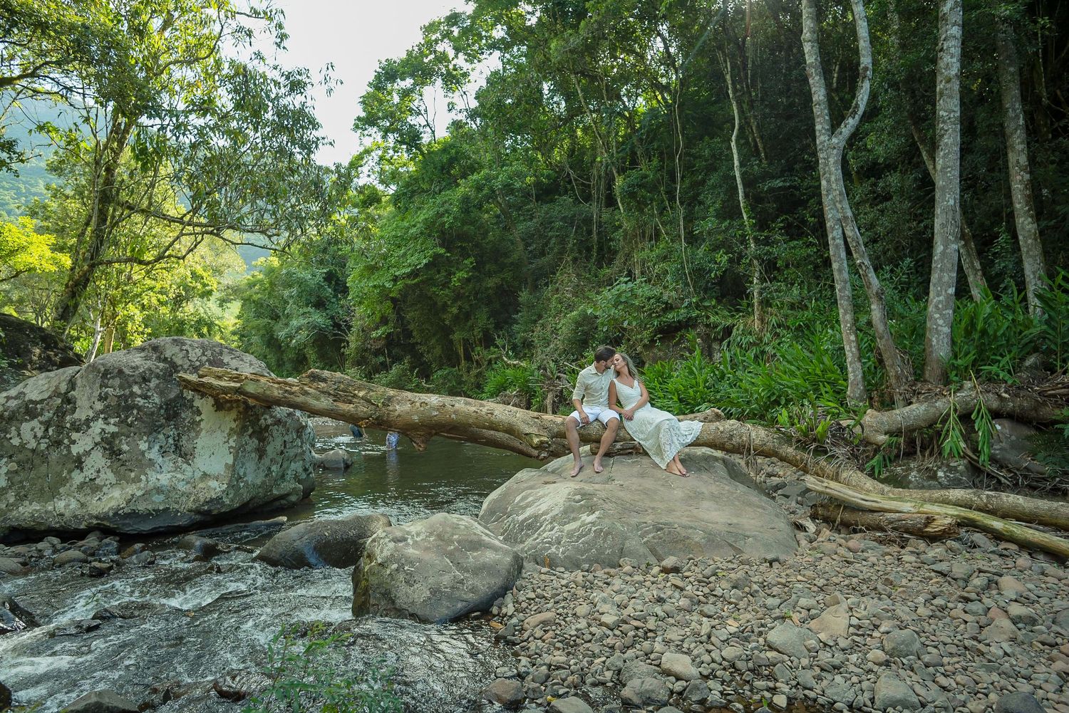 Couple sitting on rocky outcropping near fallen tree in wooded setting.