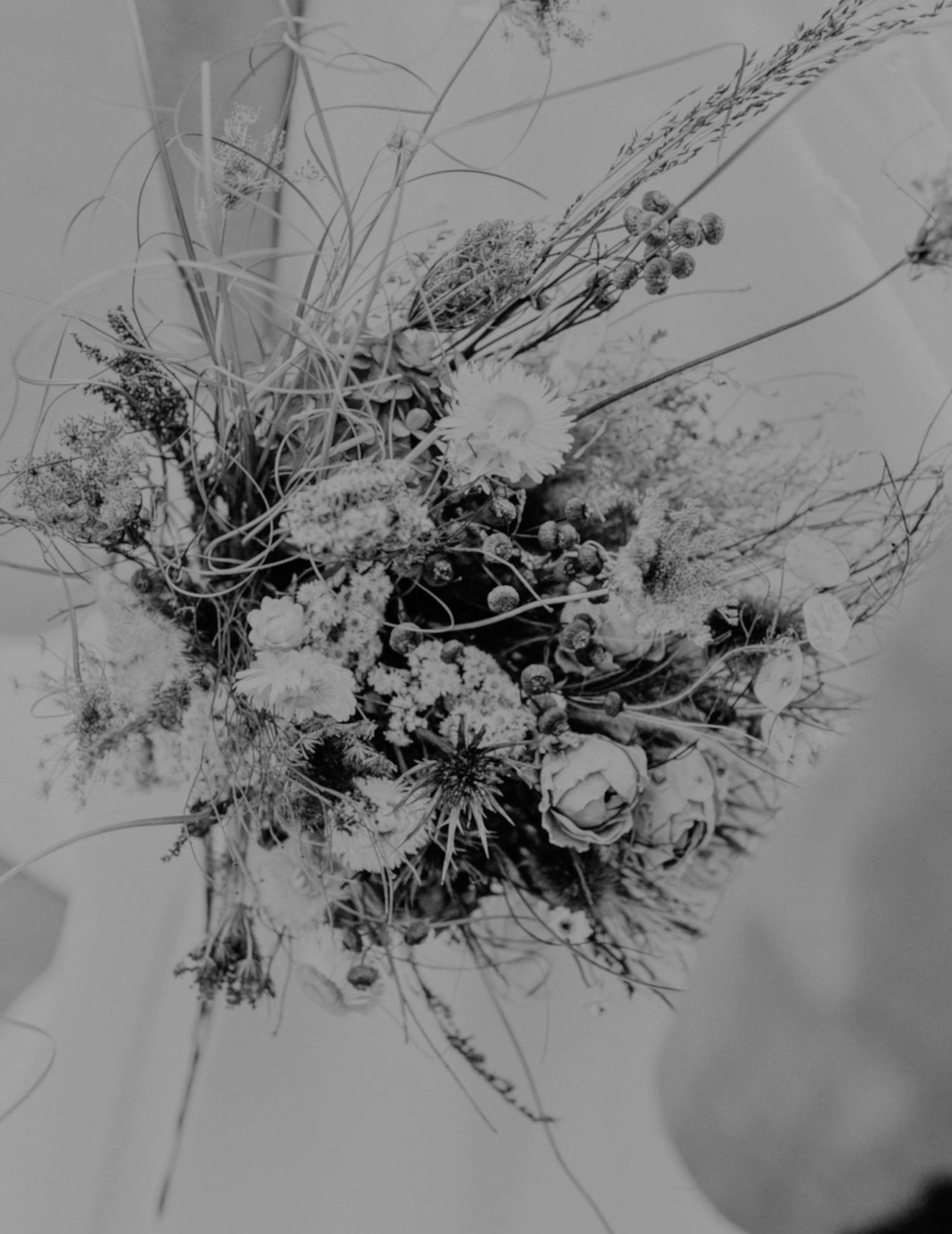 A black and white floral arrangement with dried flowers and delicate stems creating a dramatic contrast against a soft background.