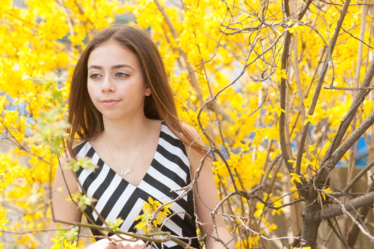 Woman in striped dress standing among bright yellow forsythia blossoms.