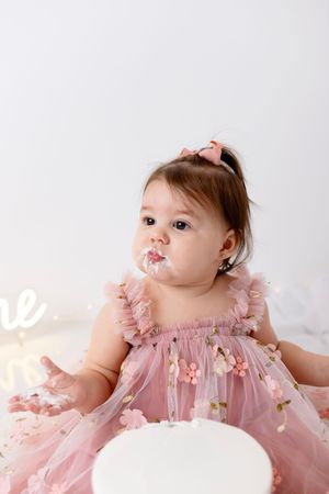 Baby wearing pink tulle dress with floral details poses during milestone photoshoot session.