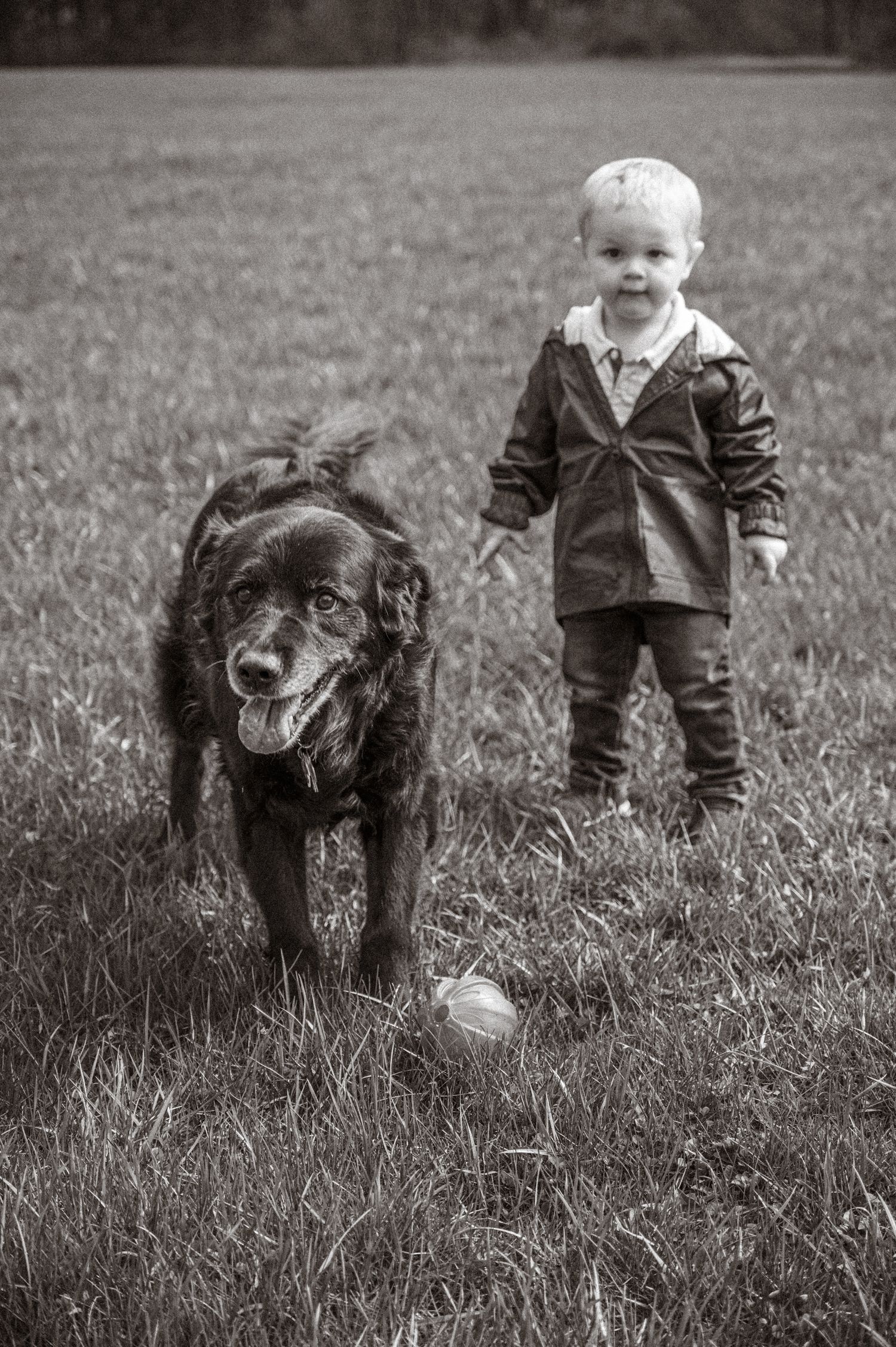 Black and white photo of a young toddler standing beside a large dog on a grassy field.