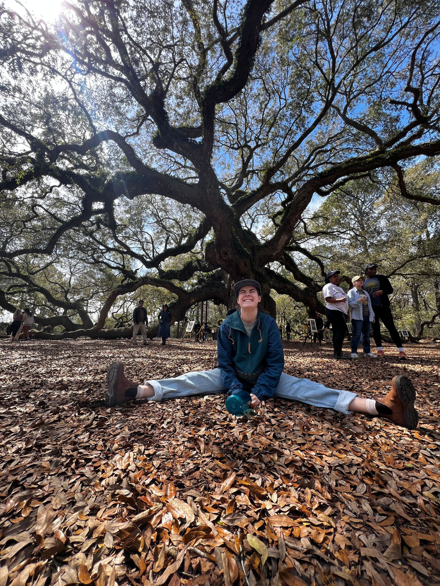 Someone sits on fallen leaves beneath a sprawling live oak tree with twisted branches on a sunny day.