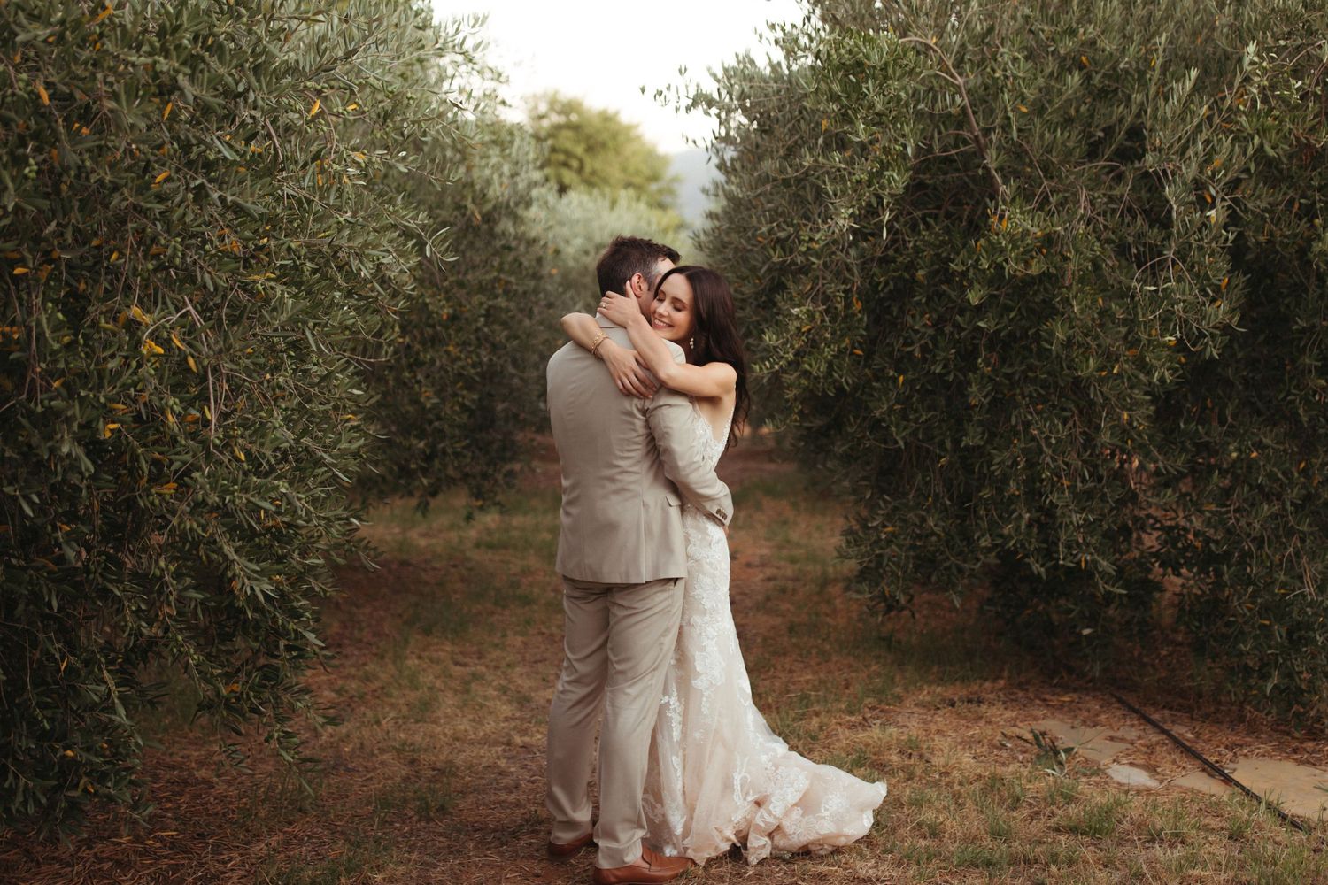 Newlyweds share an intimate moment in an olive grove during their wedding photoshoot.