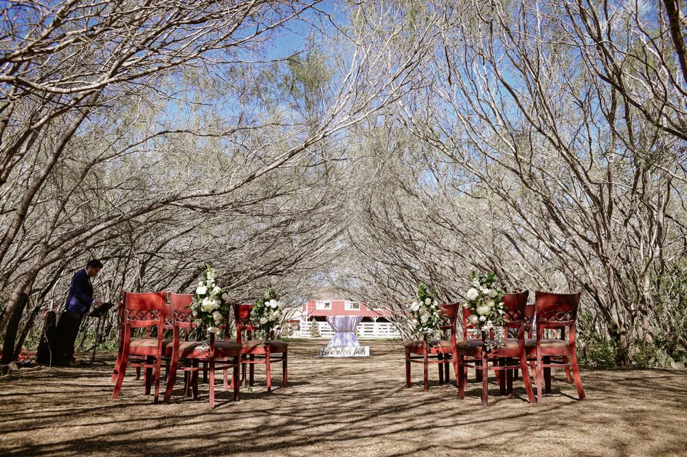 Outdoor wedding ceremony setup with red chairs arranged under bare winter trees.