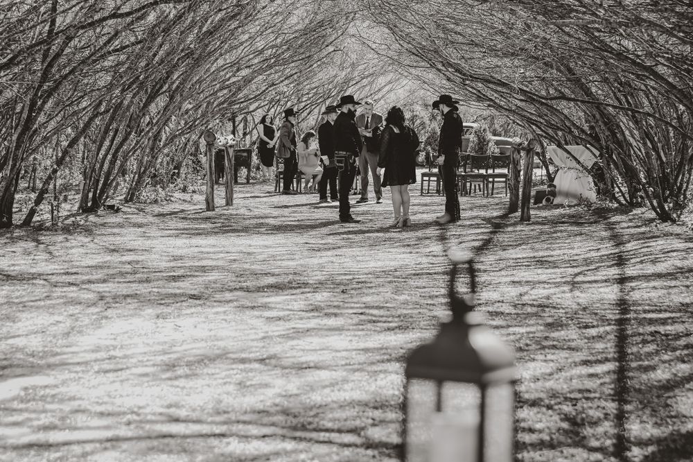 Black and white photo of wedding guests gathered under natural tree archway.