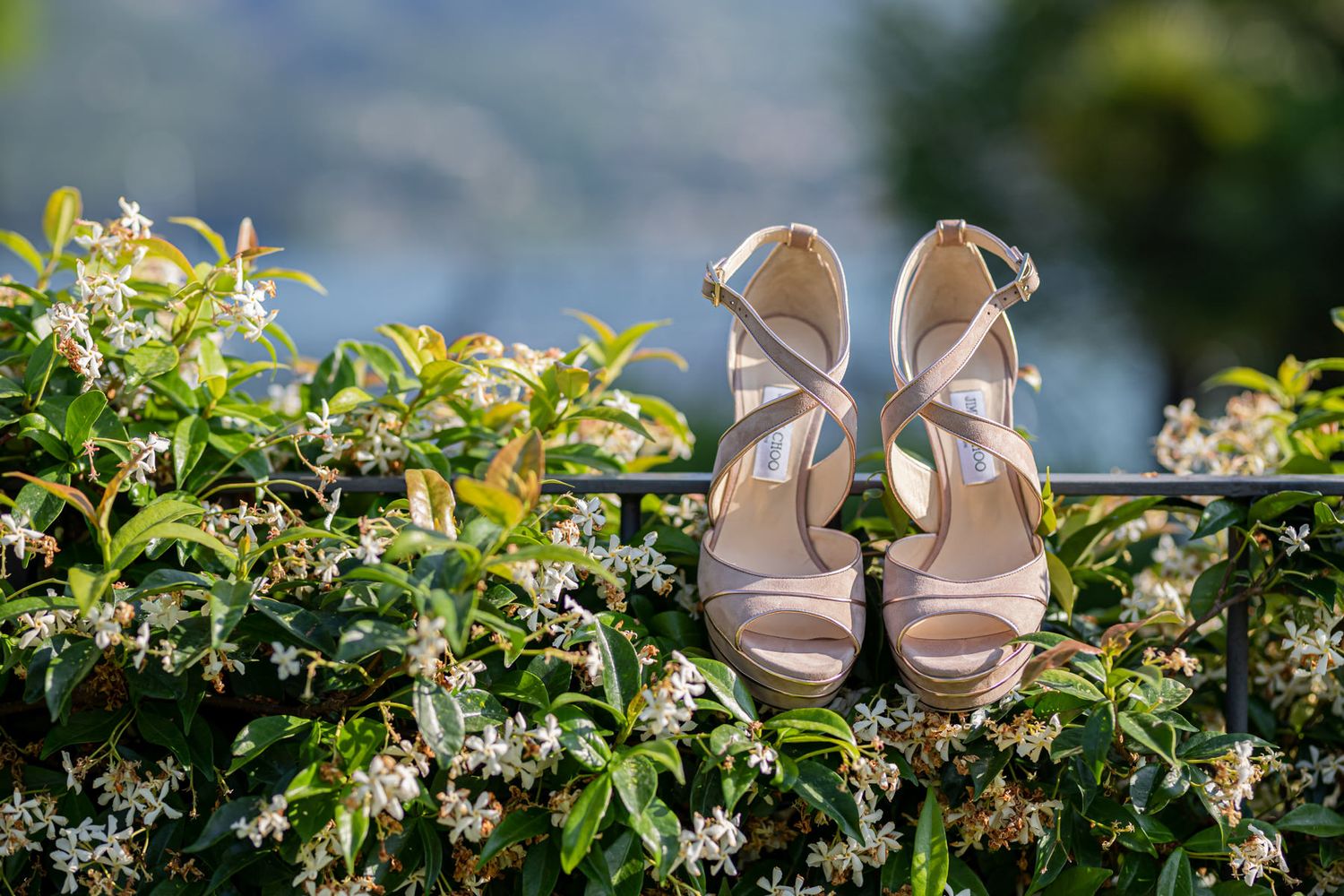 Elegant bridal shoes displayed on greenery and floral arrangements for a wedding day.