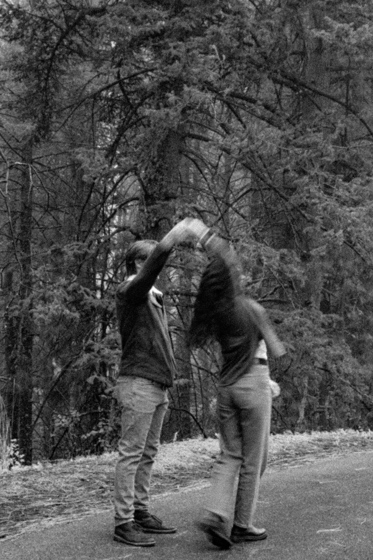 A couple dancing