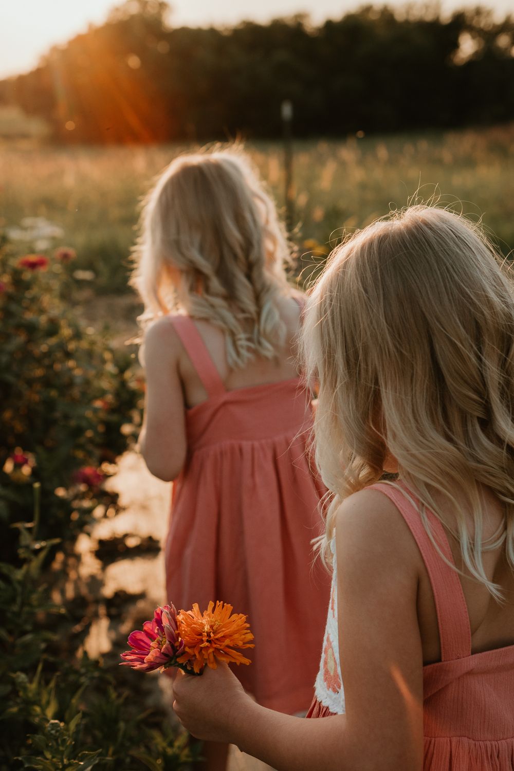 Zinnia Flowers Photographer Wichita, Ks