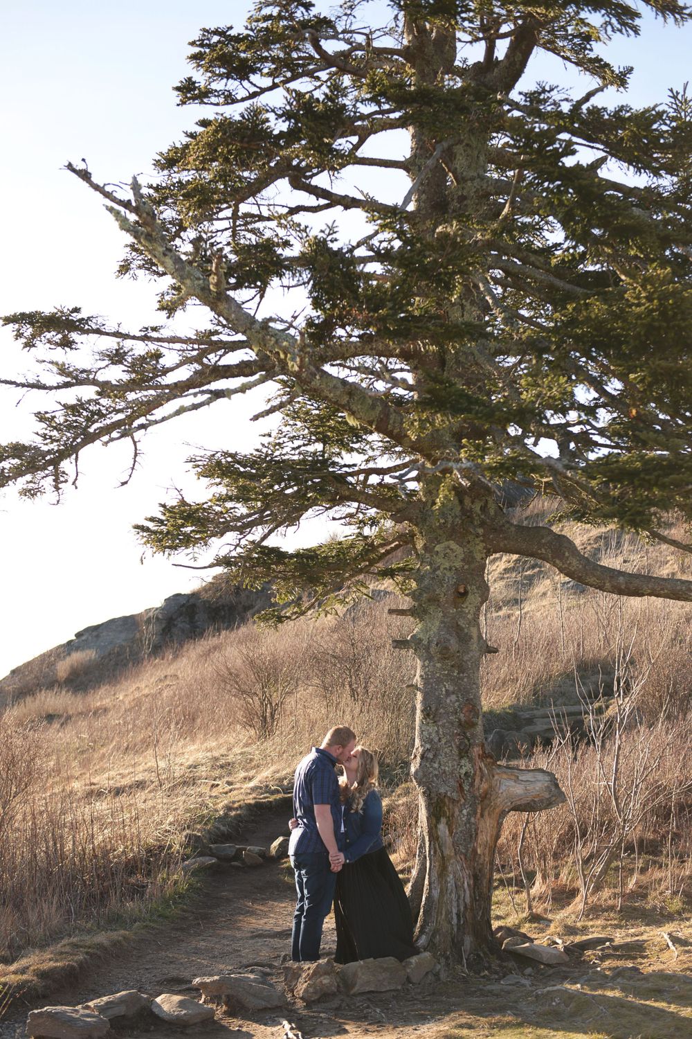 A couple stands beneath a large weathered tree on a coastal hiking trail.