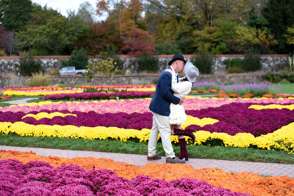 Couple embracing among colorful flower gardens with vibrant mums.