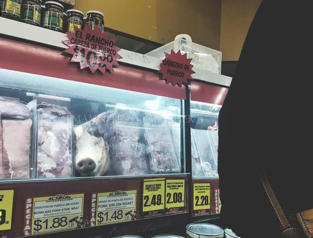 Packaged meat products displayed in a grocery store refrigerator case with price tags.