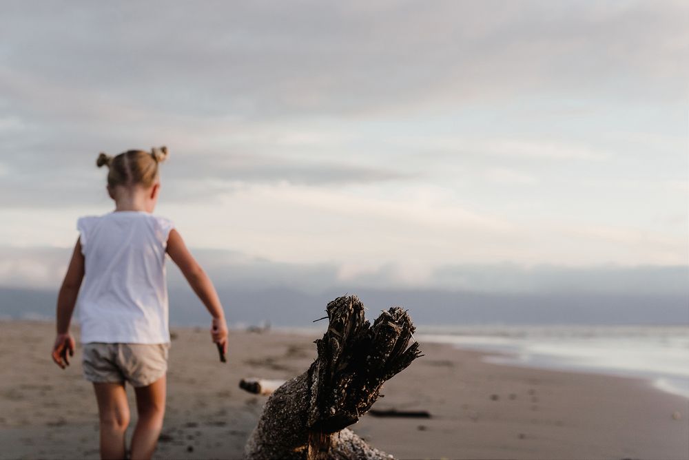 A person walks along a misty beach with driftwood in the foreground.