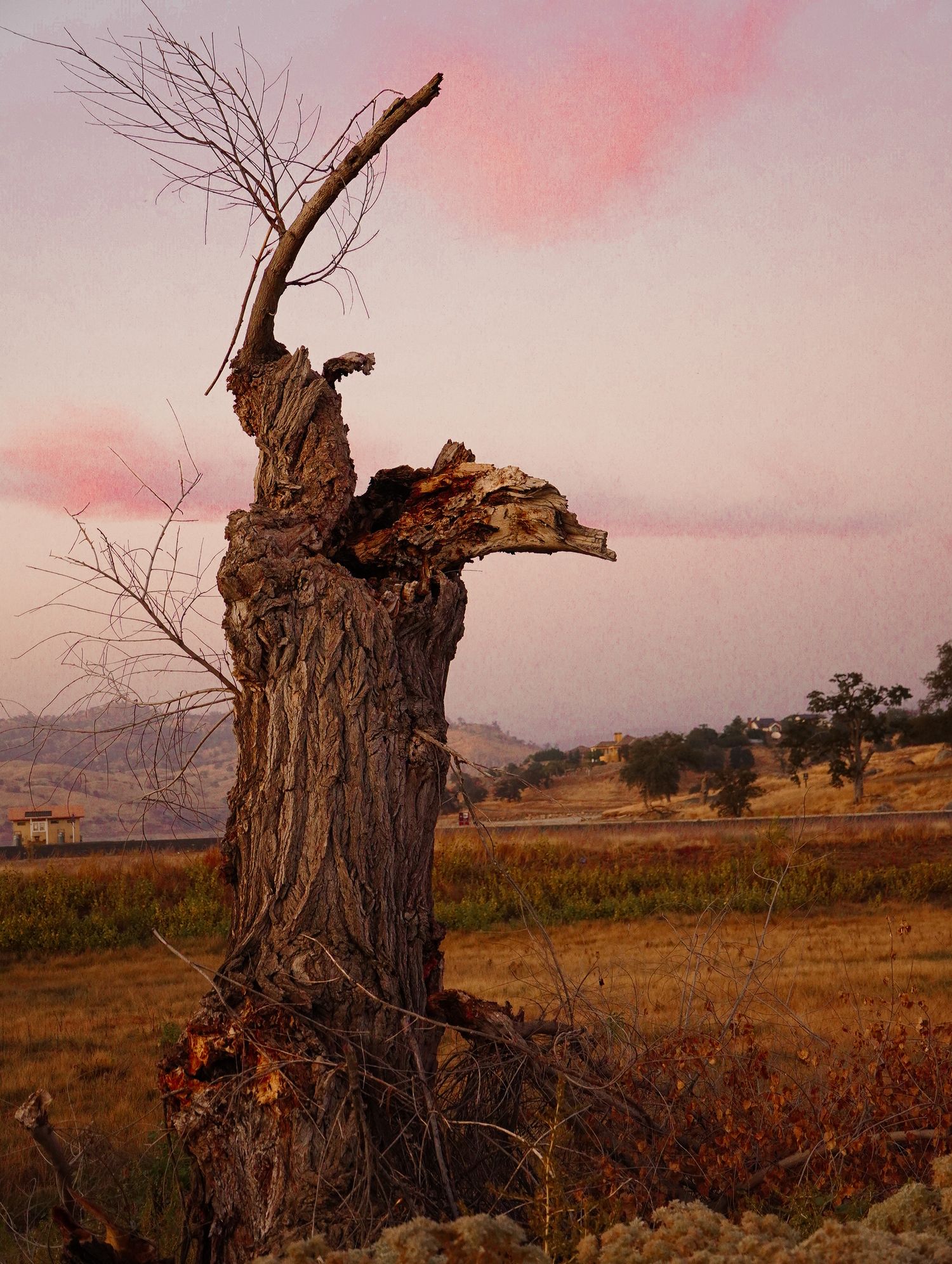 landscape photographer
Fresno photographer
street photographer