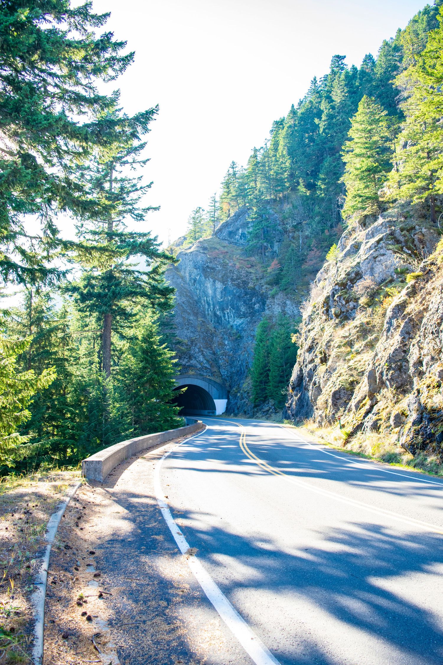 Winding mountain road leading to a tunnel carved through rocky cliffs surrounded by evergreen forest.