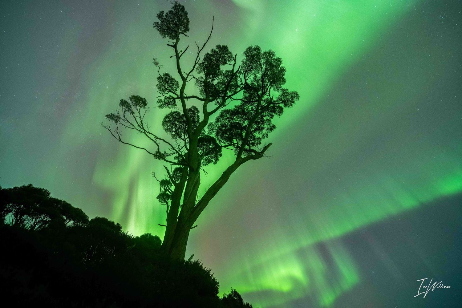 Aurora Australis, Tasmania, 11 May 2024