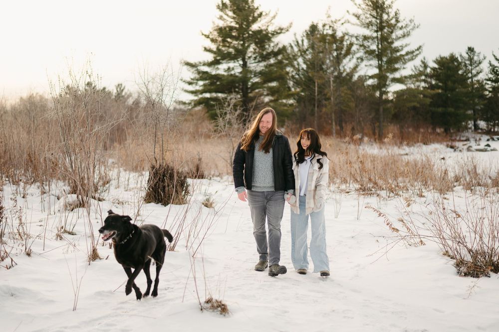 A series of winter landscape photos showing people and dogs walking through snowy fields with evergreen trees in the background.
