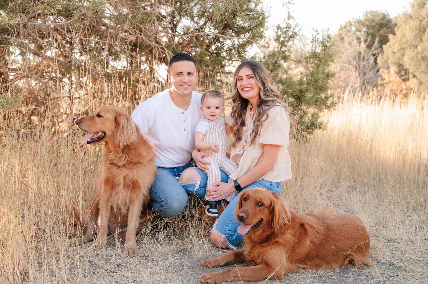Couple sits with their two golden retrievers in rustic field during golden hour photo session.