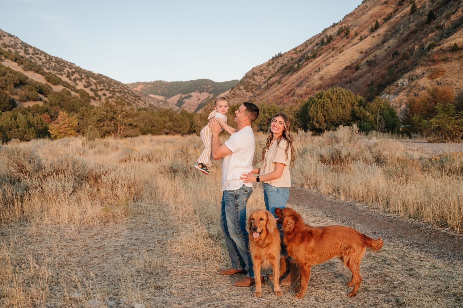 Couple with two golden retrievers pose in mountain valley at sunset.