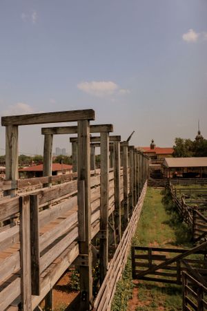 Wooden elevated walkway overlooking historic stockyard pens and buildings.