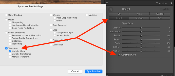 Screenshot of software settings menu showing synchronization preferences.